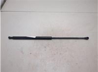  Амортизатор капота Bentley Continental GT 2003-2011 20327273 #3