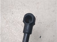  Амортизатор капота Bentley Continental GT 2003-2011 20327273 #4