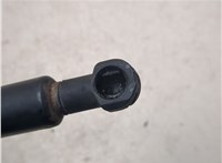  Амортизатор капота Bentley Continental GT 2003-2011 20327273 #5