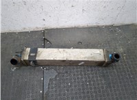 144960001R, M4925005 Радиатор интеркулера Renault Laguna 3 2007-2025 20327399 #8