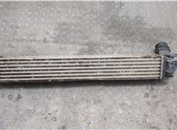  Радиатор интеркулера Renault Scenic 2009-2012 20327429 #3