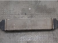 Радиатор интеркулера Volkswagen Golf 4 1997-2005 20327568 #2