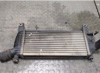  Радиатор интеркулера Nissan Pathfinder 2004-2014 20327608 #1