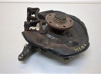  Ступица (кулак, цапфа) Volkswagen Passat 6 2005-2010 20327407 #1