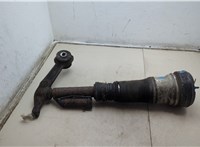 010928041108 Амортизатор подвески Mercedes S W220 1998-2006 20327733 #8