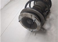 31311096850, 1096850 Амортизатор подвески BMW 3 E46 1998-2006 20327833 #9
