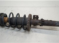  Амортизатор подвески Skoda Roomster 2006-2010 20327951 #1