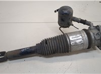  Амортизатор подвески Audi A8 (D3) 2005-2007 20328097 #1