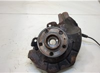  Ступица (кулак, цапфа) Skoda Roomster 2006-2010 20328463 #1