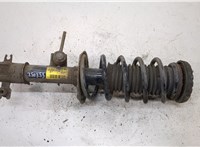  Амортизатор подвески Chevrolet Spark 2009- 20328990 #1