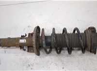  Амортизатор подвески Skoda Fabia 2007-2010 20329131 #1