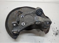  Ступица (кулак, цапфа) Audi A6 (C6) 2005-2011 20329132 #1