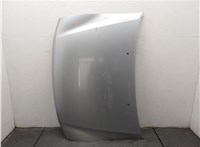  Капот Mitsubishi Pajero / Montero 2000-2006 20329237 #1