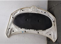 5JA823031D Капот Skoda Rapid 20329317 #20