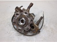  Ступица (кулак, цапфа) Mitsubishi Pajero / Montero 2000-2006 20329701 #1