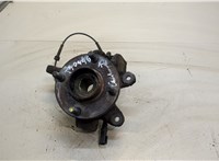  Ступица (кулак, цапфа) Ford Fusion 2002-2012 20329843 #1