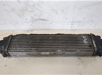  Радиатор интеркулера Infiniti EX35 20330334 #1