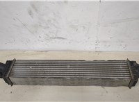  Радиатор интеркулера Volkswagen Touareg 2007-2010 20330356 #1
