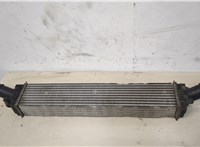  Радиатор интеркулера Volkswagen Touareg 2007-2010 20330356 #2
