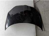  Капот Skoda Fabia 2007-2010 20330372 #1