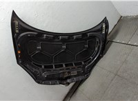  Капот Skoda Fabia 2007-2010 20330372 #7