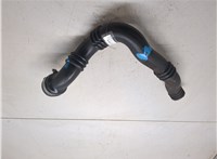 8200551943 Патрубок интеркулера Renault Laguna 3 2007- 20330670 #1