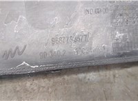  Жабо под дворники (дождевик) Citroen C4 Grand Picasso 2006-2013 20330781 #3