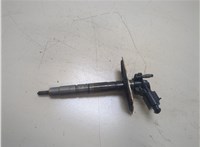  Форсунка топливная Volkswagen Tiguan 2007-2011 20330819 #1