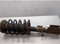 31316764604, 6764604 Амортизатор подвески BMW X5 E53 2000-2006 20330948 #5