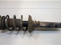  Амортизатор подвески Skoda Kodiaq 20330993 #1