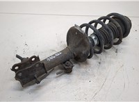  Амортизатор подвески Chevrolet Aveo (T250 / 255) 2008-2011 20331075 #1
