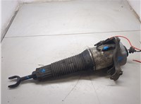 4E0616039AF Амортизатор подвески Audi A8 (D3) 2002-2010 20331275 #9