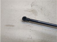  Амортизатор крышки багажника Volkswagen Sharan 2010-2015 20331309 #3