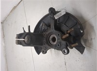 1K0407621F, 1K0407256AA Ступица (кулак, цапфа) Volkswagen Tiguan 2011-2016 20331374 #3