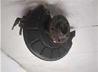 1K0407621F, 1K0407256AA Ступица (кулак, цапфа) Volkswagen Tiguan 2011-2016 20331374 #4