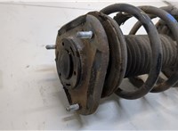  Амортизатор подвески Toyota Corolla E12 2001-2006 20331386 #2