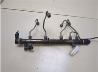 A6460701895 Рампа (рейка) топливная Mercedes Vito W639 2004-2013 20331615 #4