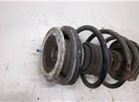  Амортизатор подвески BMW 3 E46 1998-2005 20332045 #2