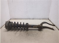 31326781918, 6781918, 31336778113, 6778113 Амортизатор подвески BMW X5 E70 2006-2013 20332075 #7