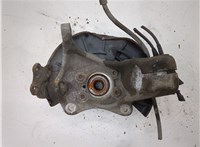  Ступица (кулак, цапфа) Audi TT (8J) 2006-2010 20332559 #1