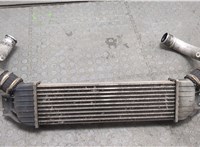  Радиатор интеркулера SsangYong Rodius 2004-2013 20332716 #6