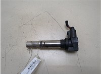 036905715F Катушка зажигания Volkswagen Golf Plus 20332819 #1