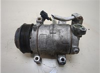  Компрессор кондиционера Nissan Titan 2003-2007 20333578 #1