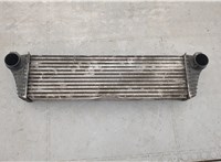  Радиатор интеркулера Mercedes Vito W639 2004-2013 20333704 #1