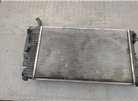  Радиатор охлаждения двигателя Mercedes Vito W639 2004-2013 20333715 #1