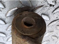  Рессора Fiat Doblo 2005-2010 20333728 #3
