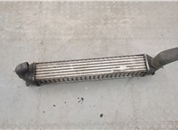  Радиатор интеркулера Volkswagen Sharan 2000-2010 20333752 #1