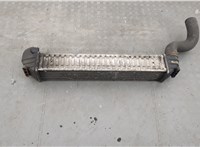  Радиатор интеркулера Volkswagen Sharan 2000-2010 20333752 #3
