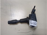 273002GGA0 Катушка зажигания Hyundai Santa Fe 2015-2018 20334122 #1