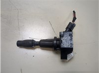 273002GGA0 Катушка зажигания Hyundai Santa Fe 2015-2018 20334123 #1